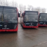 На городские автобусные маршруты краевого перевозчика вышли новые автобусы