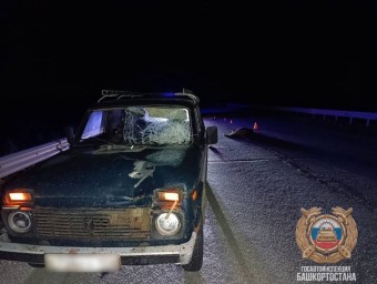 В Башкирии пешеход погиб под колёсами «Нивы»
