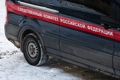 Дело о халатности возбуждено после убийства девятилетнего мальчика в Петербурге