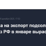 Пошлина на экспорт подсолнечного масла из РФ в январе вырастет на 36,5%
