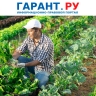Пострадавшим от атак и терактов сельхозпроизводителям окажут поддержку