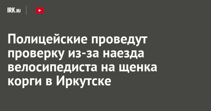 Полицейские проведут проверку из-за наезда велосипедиста на щенка корги в Иркутске Полицейские проведут проверку из-за наезда велосипедиста на щенка корги в Иркутске