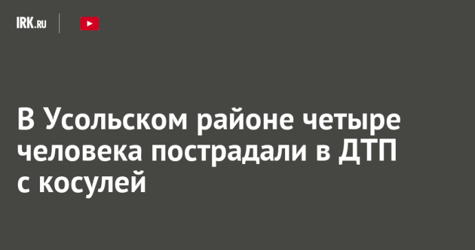 В Усольском районе четыре человека пострадали в ДТП с косулей