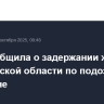 ФСБ сообщила о задержании жителя Запорожской области по подозрению в госизмене