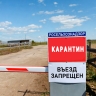 В сибирском регионе РФ ввели карантин из-за острого инфекционного заболевания