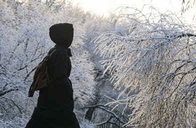 Синоптик Вильфанд: Москвичей ждут морозы до минус 9 градусов и снегопад