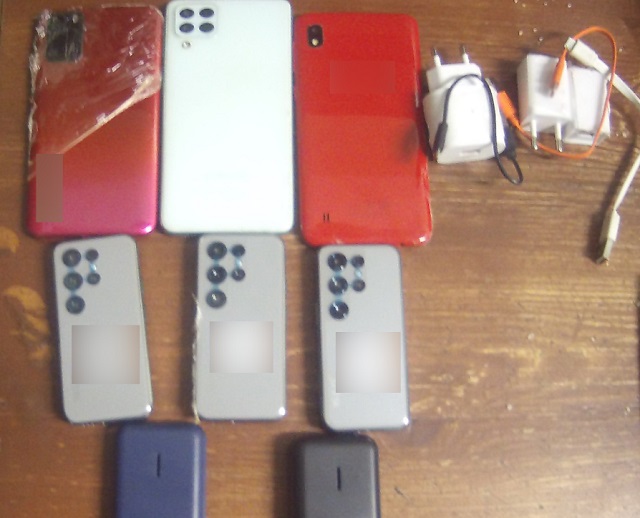 В Мордовии в колонии с помощью служебной собаки обнаружили гаджеты и неизвестные вещества в посылке