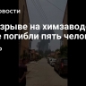 При взрыве на химзаводе в Китае погибли пять человек