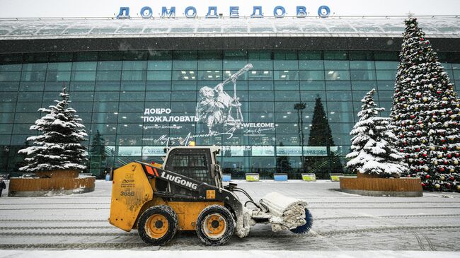 Начальная цена при продаже Домодедово составит более 132 миллиардов рублей