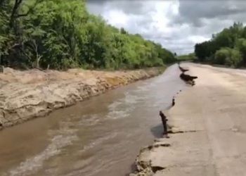 Вода вышла на дороги в Завитинском округе Приамурья