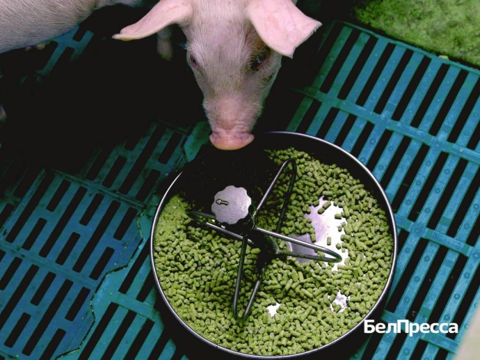 В Белгородской области открыли центр диагностики и производство кормовых добавок для АПК В Белгородской области открыли центр диагностики и производство кормовых добавок для АПК