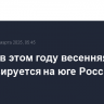 Первая в этом году весенняя гроза прогнозируется на юге России