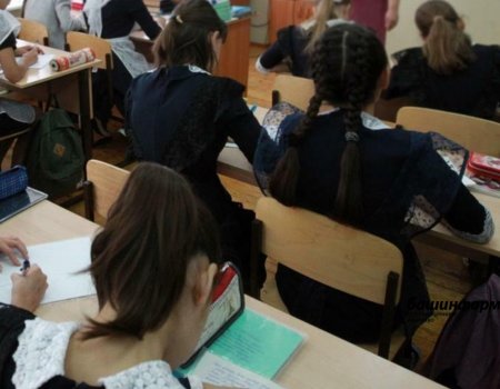 В школах Башкирии отменят уроки обществознания для 6–8-х классов