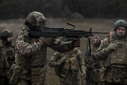 Политолог раскрыл число наемников ВСУ из Австралии Политолог раскрыл число наемников ВСУ из Австралии