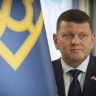 Херш заявил, что Залужный может сменить Зеленского в течение нескольких месяцев