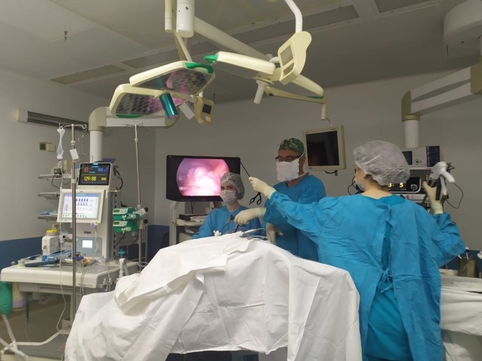 Радий Хабиров оценил важность проекта «Онкопатруль» Радий Хабиров оценил важность проекта «Онкопатруль»