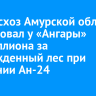 Минлесхоз Амурской области потребовал у «Ангары» полмиллиона за поврежденный лес при крушении Ан-24 в Тынде