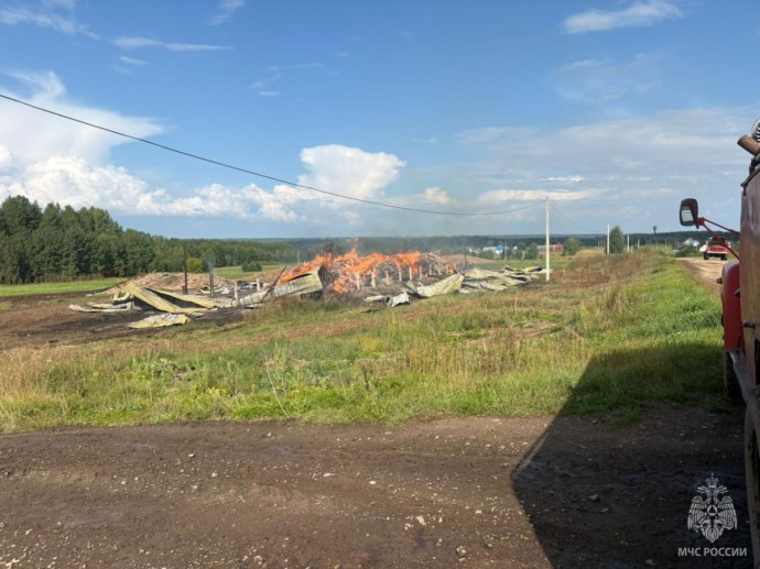 Молния подожгла сенной склад в Кировской области