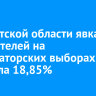 В Иркутской области явка избирателей на губернаторских выборах достигла 18,85%