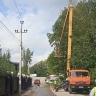 В Уфе на улице Менделеева проведут санитарную вырубку деревьев