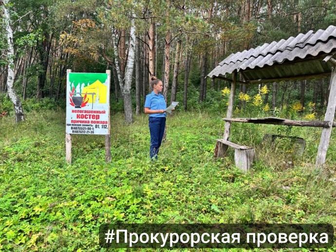 Прокуратура выявила нарушения на территории ГУ ТО «Плавское лесничество»