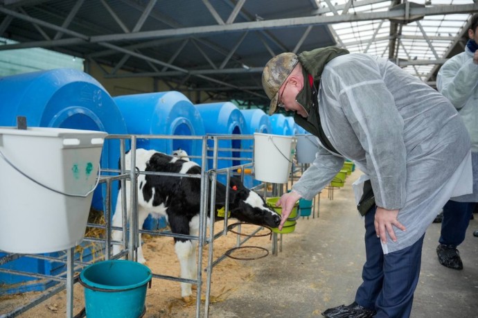 Коровы гораздо важнее бюджетных слушаний? Коровы гораздо важнее бюджетных слушаний?