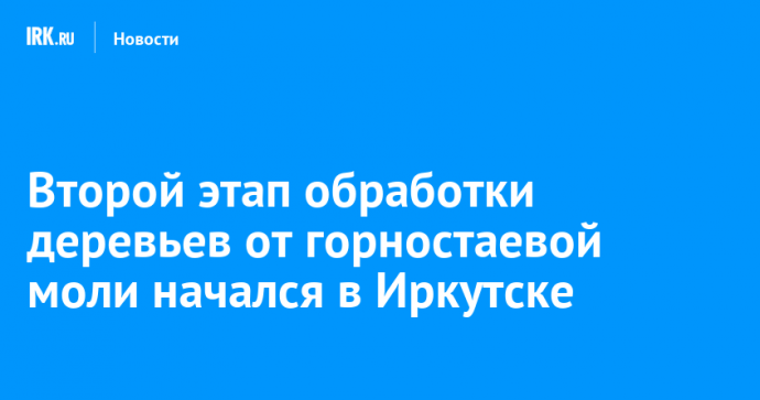 Второй этап обработки деревьев от горностаевой моли начался в Иркутске