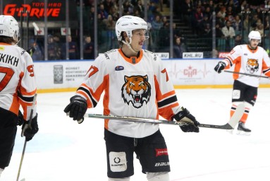 Амур – Динамо Минск: прямая трансляция, где смотреть матч онлайн 2 декабря