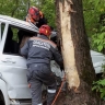 В Ярославле спасли девушку из врезавшегося в дерево автомобиля