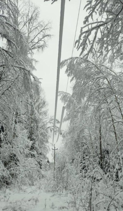 Специалисты «Ярэнерго» контролируют работу электросетевого комплекса в условиях непогоды