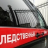 Пропавших под Оренбургом девочек нашли мертвыми в лесополосе