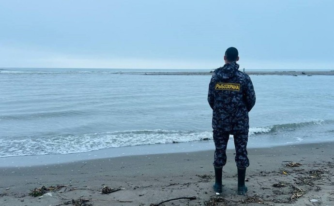 Пенсионера на скутере с 31 незаконными хвостами кеты поймали в Охинском районе