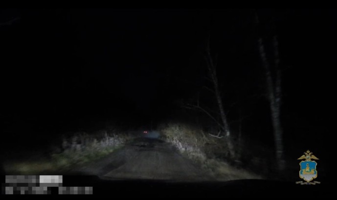 Пахнущий костромич попытался спрятаться от полиции в лесу Пахнущий костромич попытался спрятаться от полиции в лесу