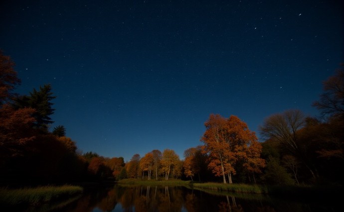 Гороскоп на 12 января: Скорпион наговорит кучу гадостей, а Весы устроят праздник для души