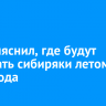 ВТБ выяснил, где будут отдыхать сибиряки летом 2025 года