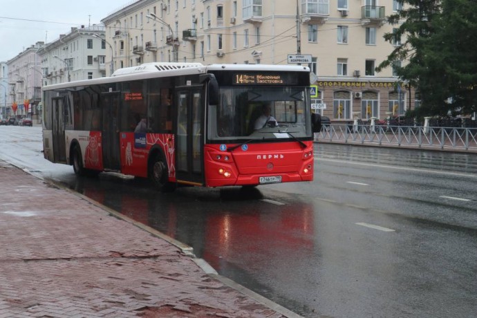 Автобусы в пути. В Перми представили итоги работы транспортной отрасли в первом квартале
