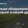 В Польше обнаружили очередной упавший дрон