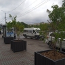 В центре Улан-Удэ установили мобильную зелёную зону
