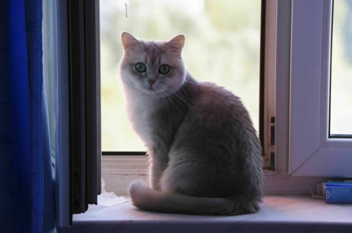 Получить дальневосточную ипотеку смогут больше россиян Получить дальневосточную ипотеку смогут больше россиян