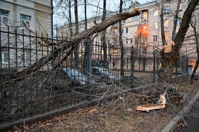 Последствия непогоды полностью ликвидированы в Москве