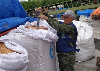 Из Приамурья с начала года в Китай и Монголию экспортировали около 40 тысяч тонн кукурузы