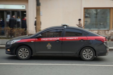 На Камчатке подросток выстрелил в ребенка