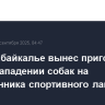 Суд в Забайкалье вынес приговор по делу о нападении собак на воспитанника спортивного лагеря
