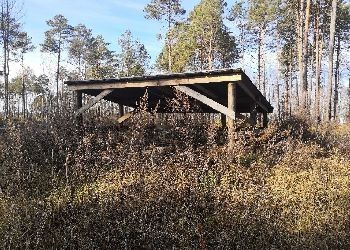 До холодов в Приамурье уберут еще 14 старых скотомогильников