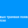 Два новых трамвая появятся в Иркутске