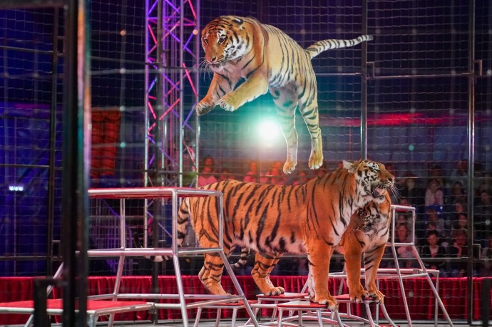 Открытая репетиция