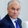 Вячеслав Володин запустил опрос по теме сбора различными учреждениями биометрических данных