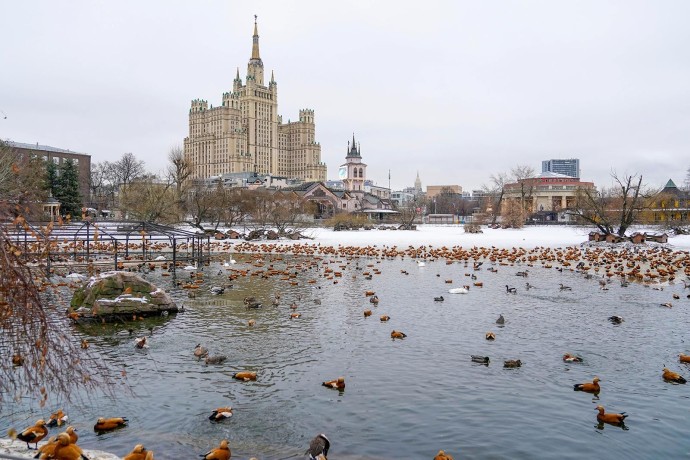 Участники зимней акции Московского зоопарка смогут получить билет на летний сезон