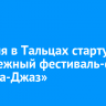 12 июля в Тальцах стартует молодежный фестиваль-форум «Ангара-Джаз»