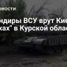 Командиры ВСУ врут Киеву об "успехах" в Курской области